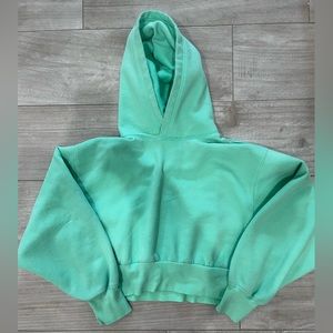 Aritzia Tna - Cozy AF Cropped Hoodie